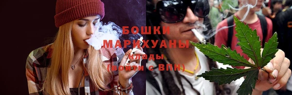 прущие грибы Сатка
