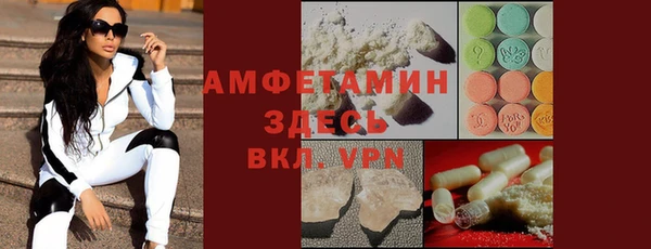 стаф Абаза
