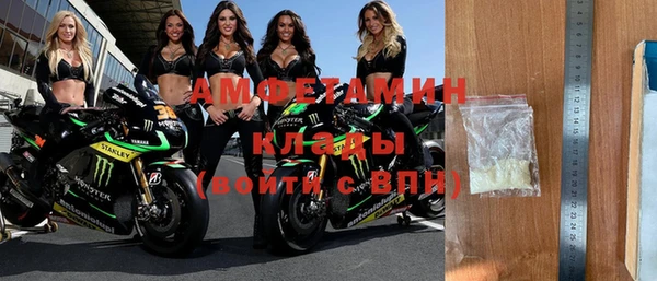 прущие грибы Сатка