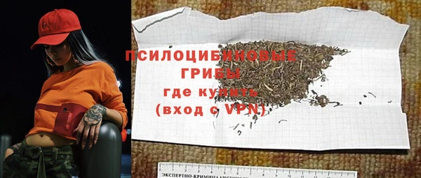стаф Абаза