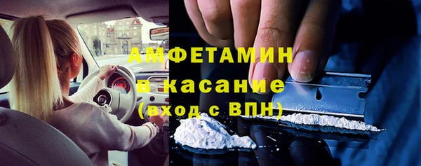прущие грибы Сатка