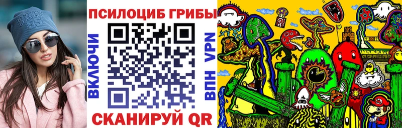 закладки  Каменногорск  Галлюциногенные грибы MAGIC MUSHROOMS 